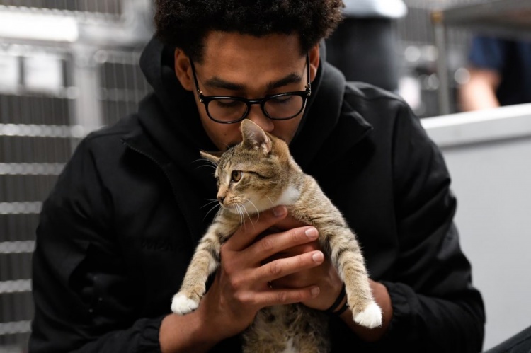 普爾：NBA裏養貓的人很多 春水堂视频入口有一個秘密的圈子常私下交流